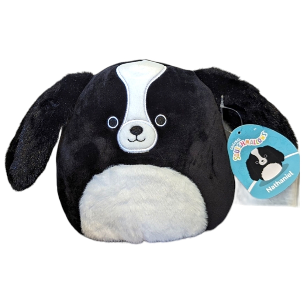 Squishmallows Nathaniel cocker spaniel dog Fluffy Plushie NWT Rare Collectible
